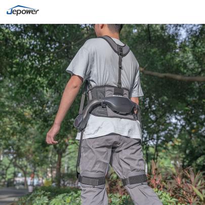 Smart Walking Assist Exoskeleton